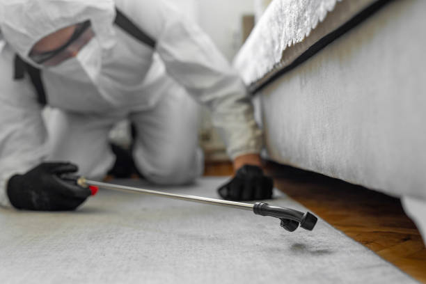 Professional Bed Bug Control technician working in Wyoming County County, PA